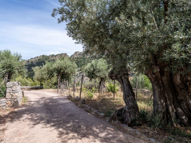 1 soveværelse Finca/Landehus til salg i Soller - € 870.000 (Ref: 9904298)