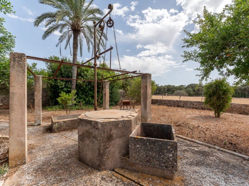 12 slaapkamer Finca/Landhuis te koop in Algaida - € 5.900.000 (Ref: 9910735)