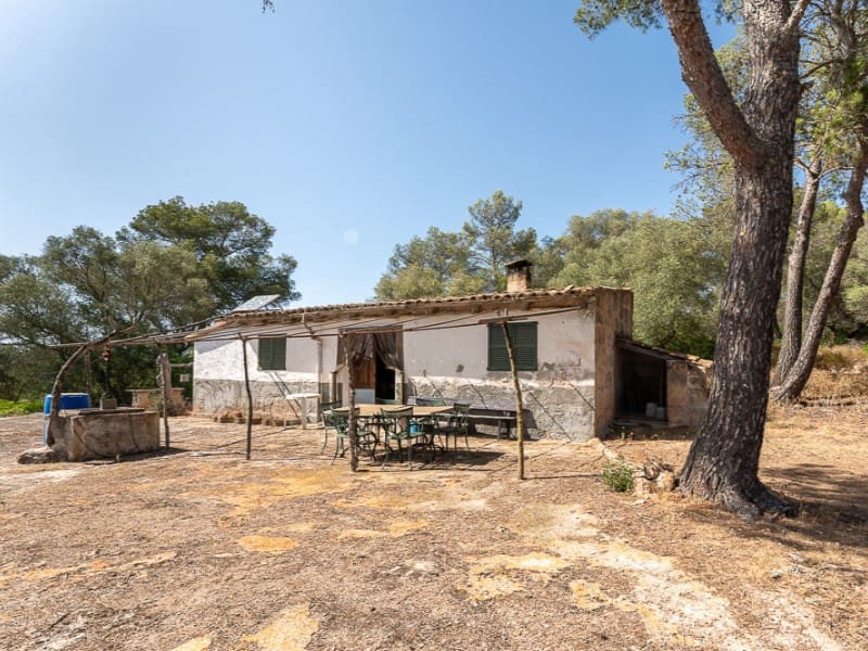 12 slaapkamer Finca/Landhuis te koop in Algaida - € 5.900.000 (Ref: 9910735)
