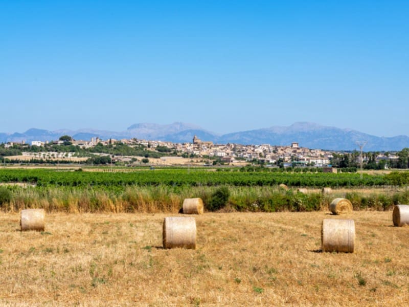 4 bedroom Finca/Country House for sale in Montuiri with pool - € 1,700,000 (Ref: 9929083)