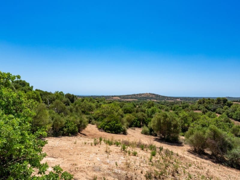 3 soveværelse Finca/Landehus til salg i Sant Llorenc des Cardassar med swimmingpool - € 1.250.000 (Ref: 9936114)