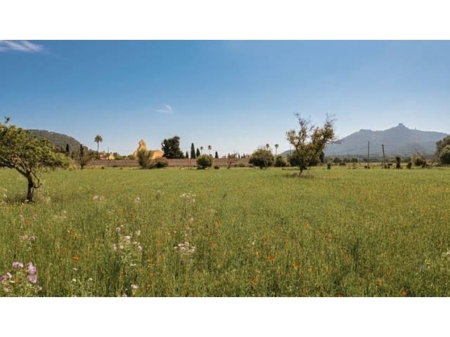 Area Edificabile in vendita in Felanitx - 320.000 € (Rif: 9939684)