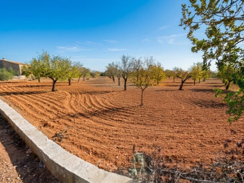 Byggetomt til salgs i Campos - € 345 000 (Ref: 9953973)