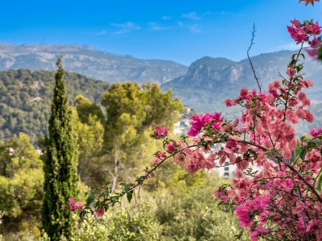 3 sypialnia Apartament na sprzedaż w Sóller - 880 000 € (Ref: 9977038)