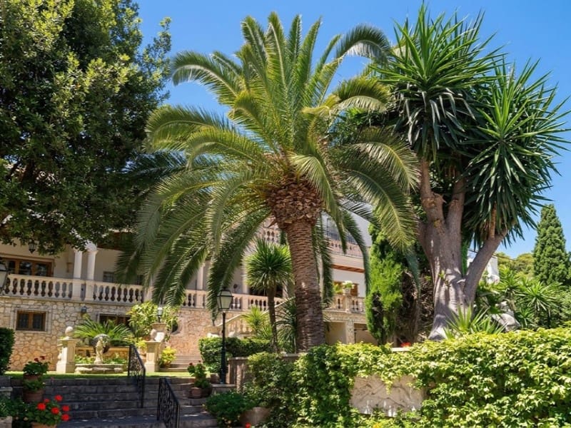 6 camera da letto Villa in vendita in Palma de Mallorca con piscina - 5.320.000 € (Rif: 9986599)