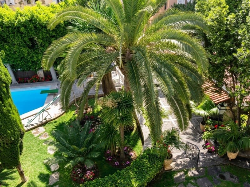 6 camera da letto Villa in vendita in Palma de Mallorca con piscina - 5.320.000 € (Rif: 9986599)