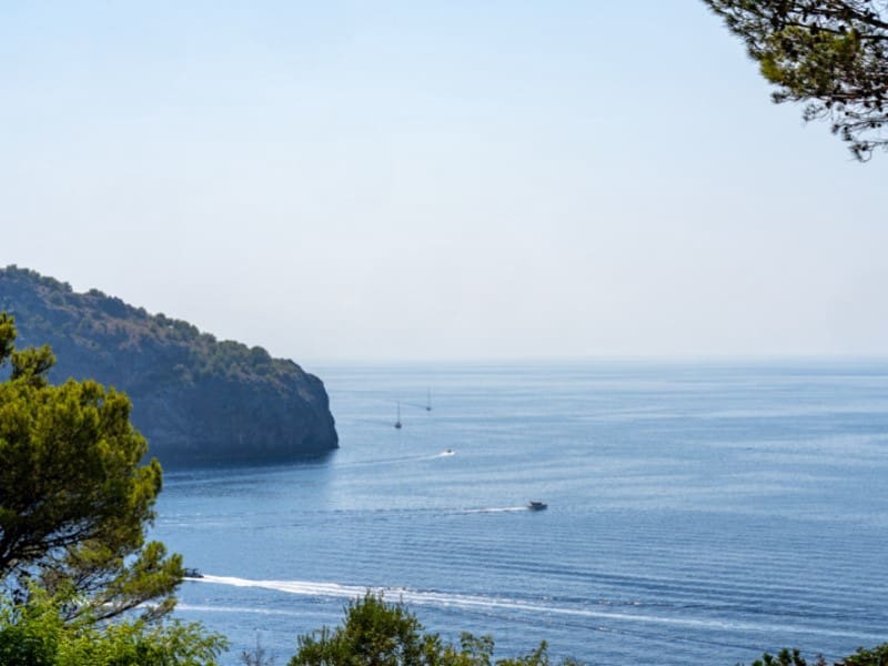 1 Zimmer Apartment zu verkaufen in Puerto de Soller / Port de Soller - 955.000 € (Ref: 9996847)