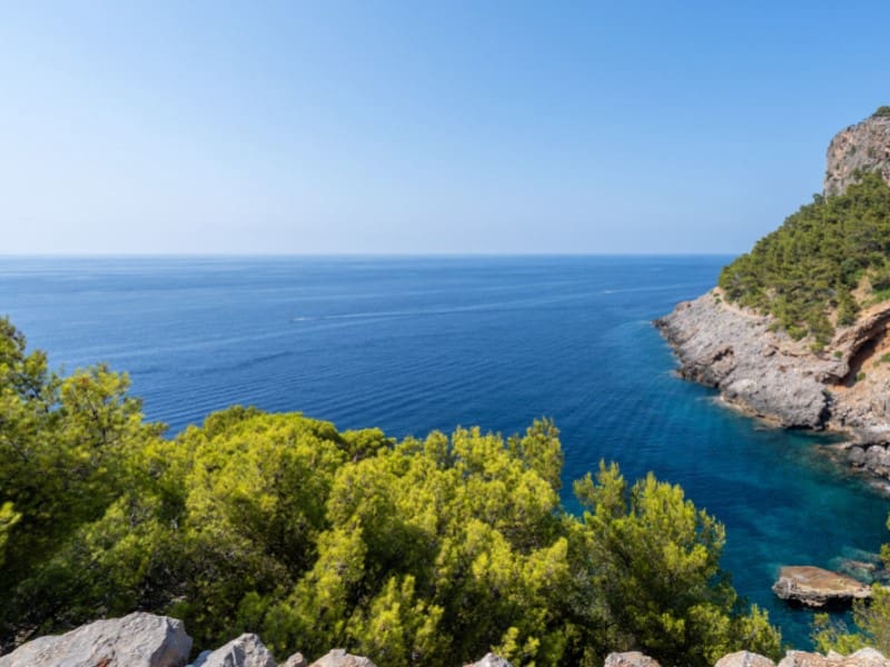 1 Zimmer Apartment zu verkaufen in Puerto de Soller / Port de Soller - 955.000 € (Ref: 9996847)