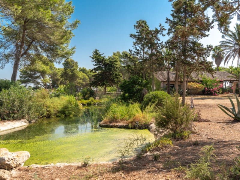 7 slaapkamer Finca/Landhuis te koop in Ses Covetes met zwembad garage - € 2.750.000 (Ref: 9996848)