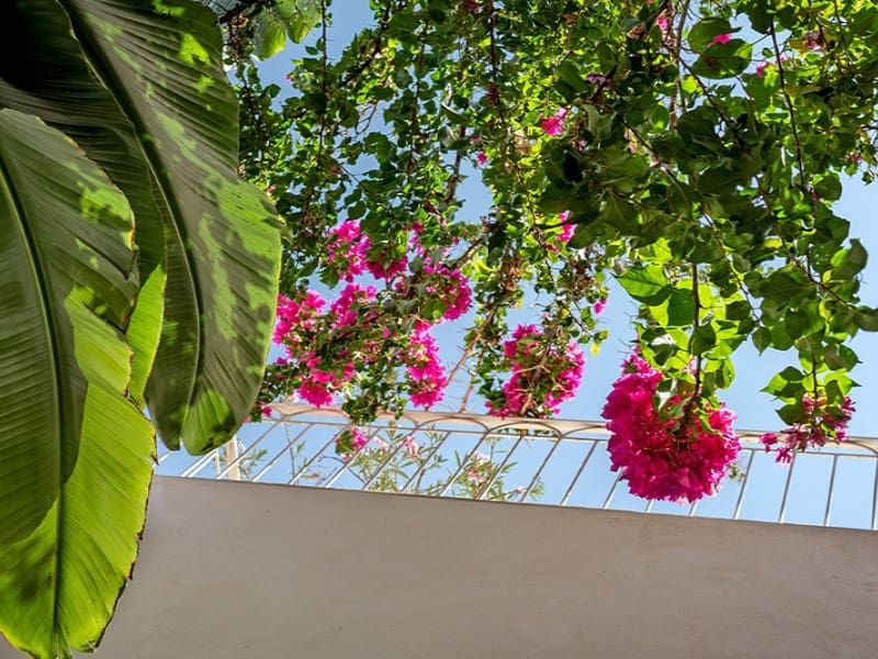 3 soverom Villa til salgs i Campos med svømmebasseng - € 1 200 000 (Ref: 9996849)
