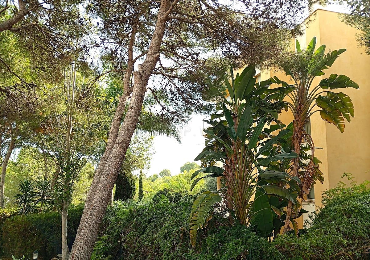 3 camera da letto Appartamento in vendita in Sol de Mallorca - 850.000 € (Rif: 9002567)