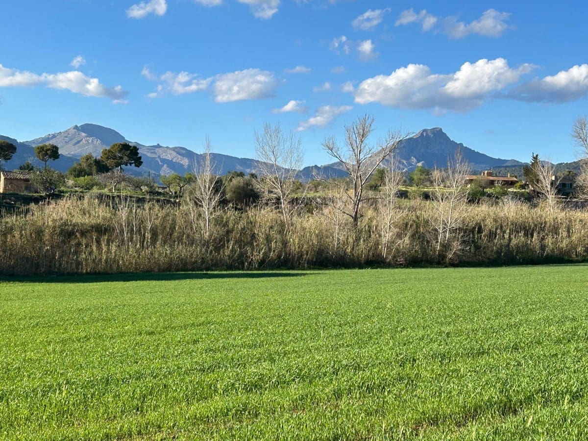 Grunde uden byggetilladelser til salg i Calvia - € 1.200.000 (Ref: 9004246)