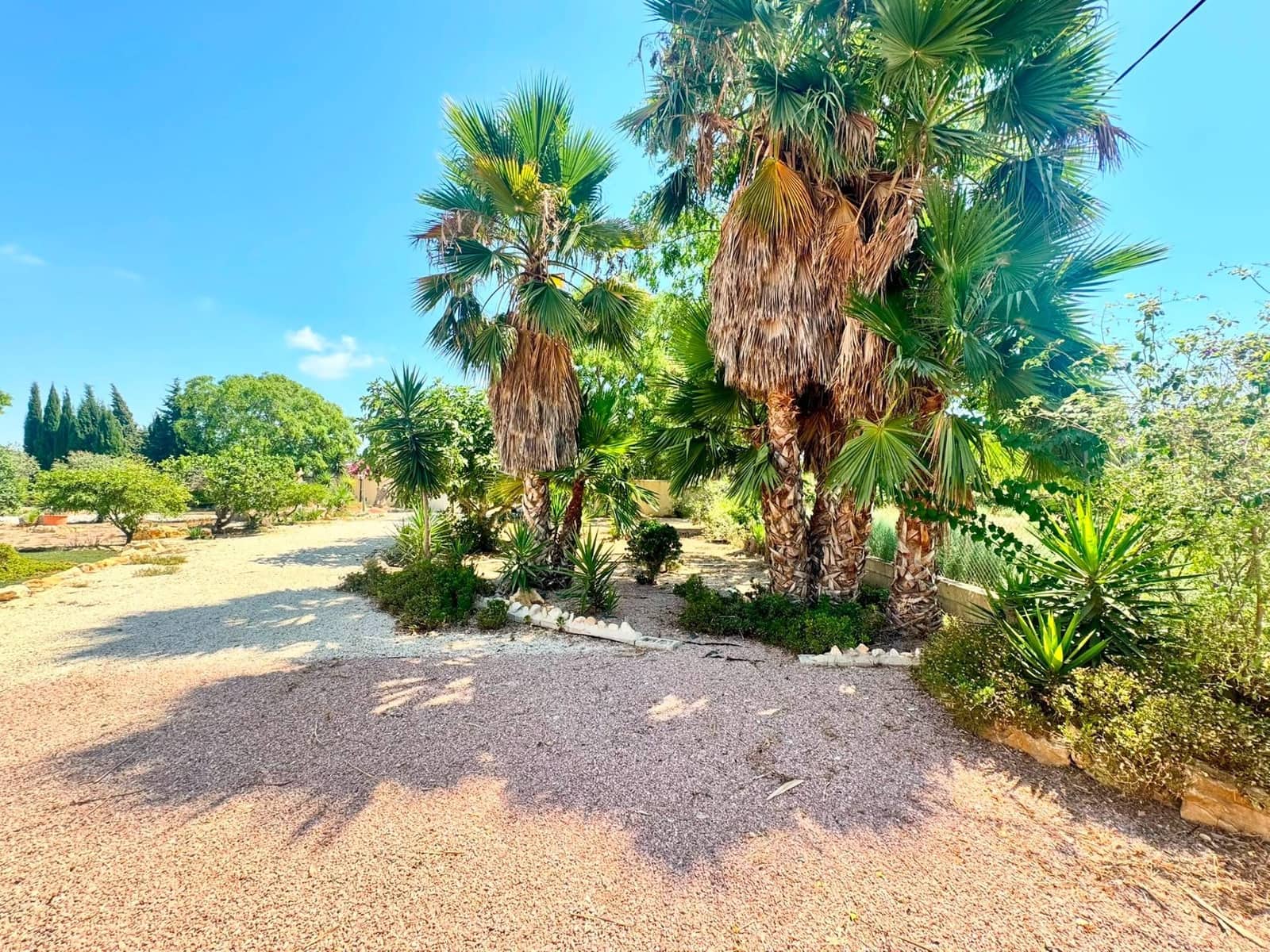 6 slaapkamer Finca/Landhuis te koop in La Hoya met zwembad garage - € 599.000 (Ref: 10004211)