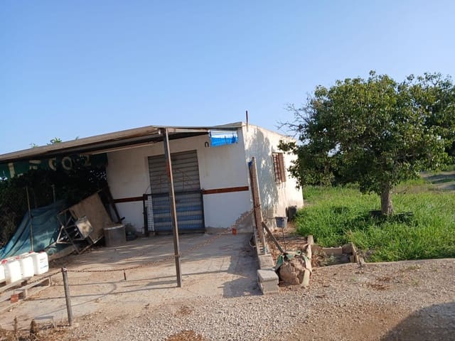 Terreno Não Urbanizado para venda em Guardamar del Segura - 120 000 € (Ref: 10027353)