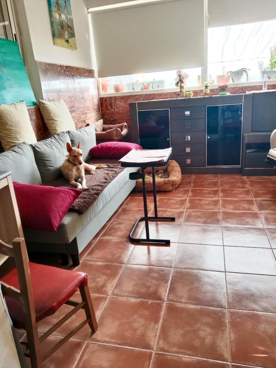 4 bedroom Finca/Country House for sale in Macisvenda - € 295,900 (Ref: 10044845)