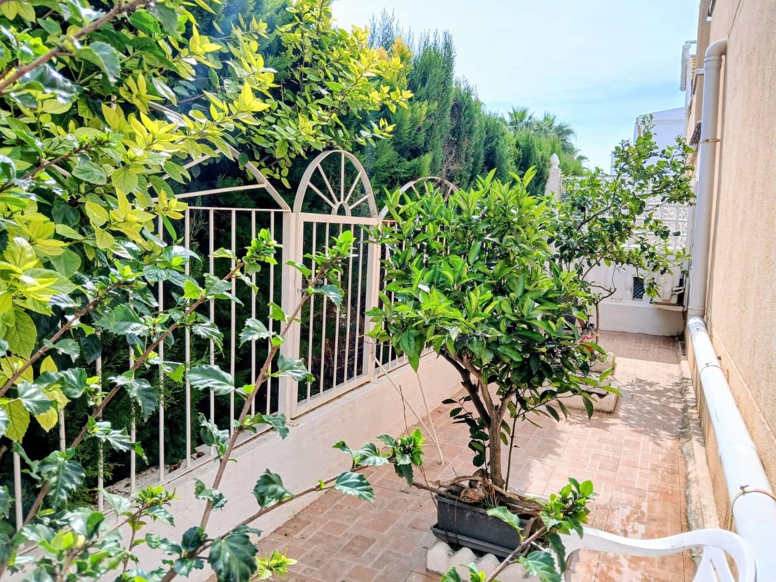 3 bedroom Terraced Villa for sale in Guardamar del Segura with pool - € 249,000 (Ref: 10115901)