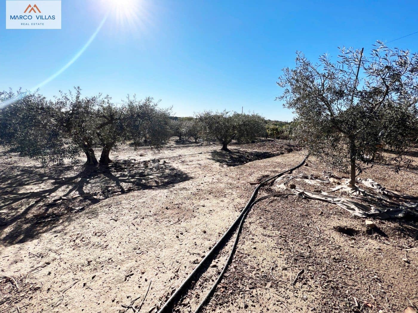 5 soveværelse Finca/Landehus til salg i La Marina - € 298.000 (Ref: 6715132)