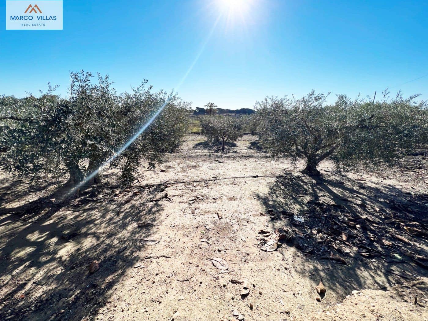 5 soveværelse Finca/Landehus til salg i La Marina - € 298.000 (Ref: 6715132)