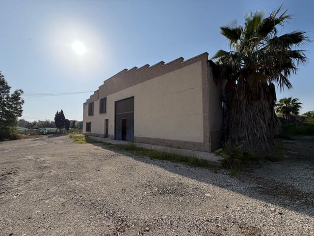Entreprise à vendre à Santa Pola - 270 000 € (Ref: 9818209)