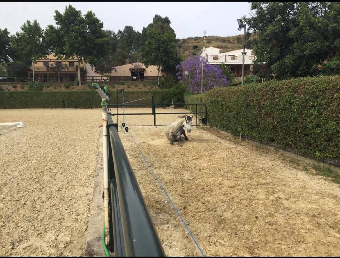 3 quarto Casa em Banda para venda em Mijas Costa com garagem - 1 199 000 € (Ref: 9388642)