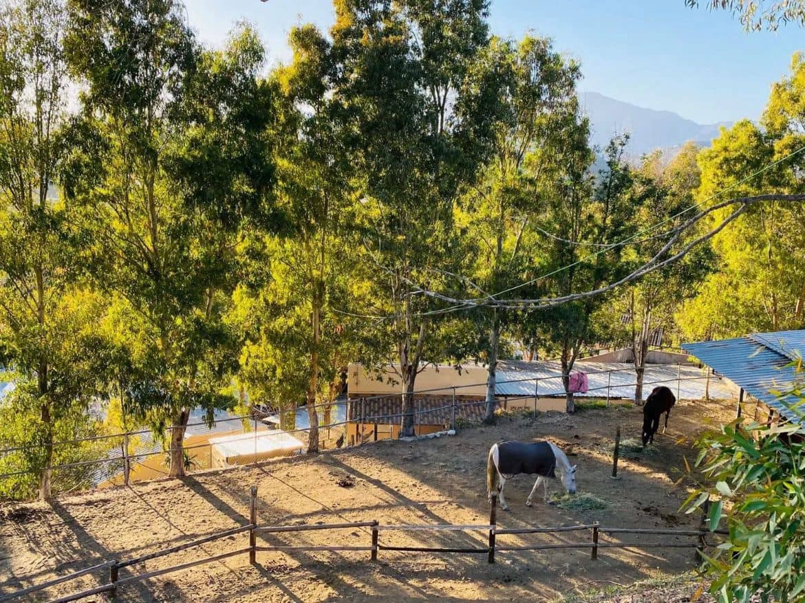 3 quarto Casa em Banda para venda em Mijas Costa com garagem - 1 199 000 € (Ref: 9388642)