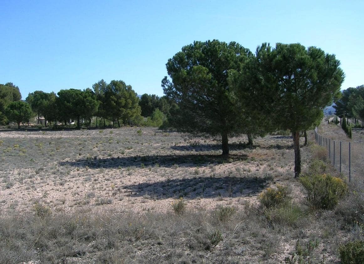 Finca/Herregård til salgs i Castalla - € 128 500 (Ref: 9583389)