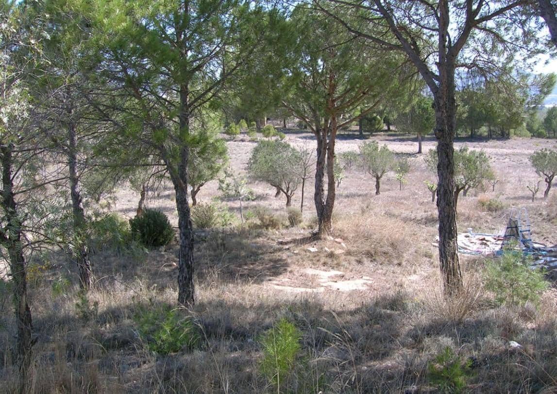 Finca/Herregård til salgs i Castalla - € 128 500 (Ref: 9583389)