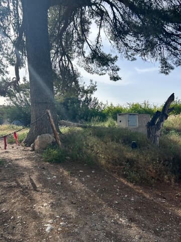 4 soveværelse Finca/Landehus til salg i Matola, Elche / Elx - € 199.000 (Ref: 9840367)