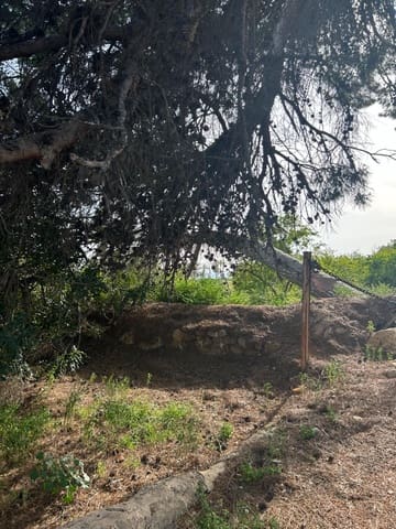 4 soveværelse Finca/Landehus til salg i Matola, Elche / Elx - € 199.000 (Ref: 9840367)