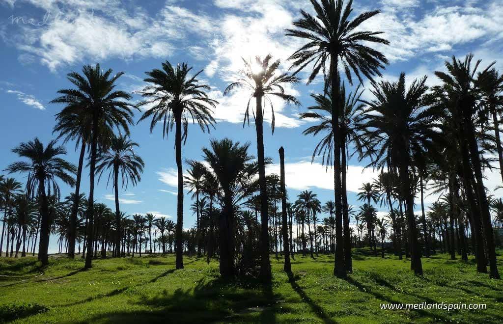 3 soveværelse Villa til salg i Punta Prima med swimmingpool garage - € 750.000 (Ref: 6204604)