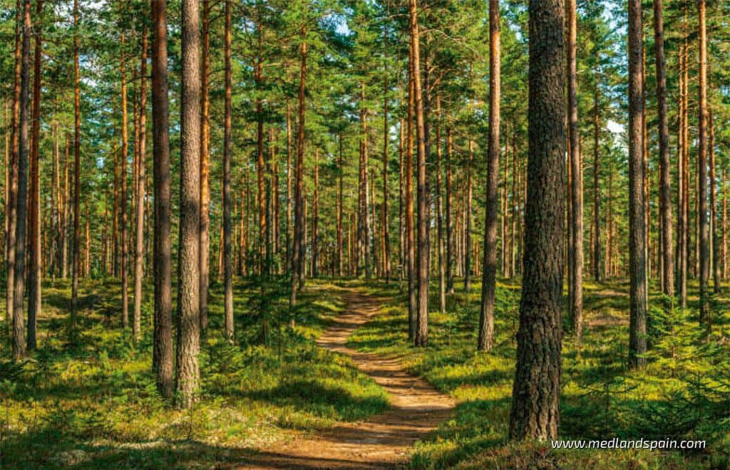 3 makuuhuone Huoneisto myytävänä paikassa Mijas Costa mukana uima-altaan 
autotalli - 466 000 € (Ref: 7461255)