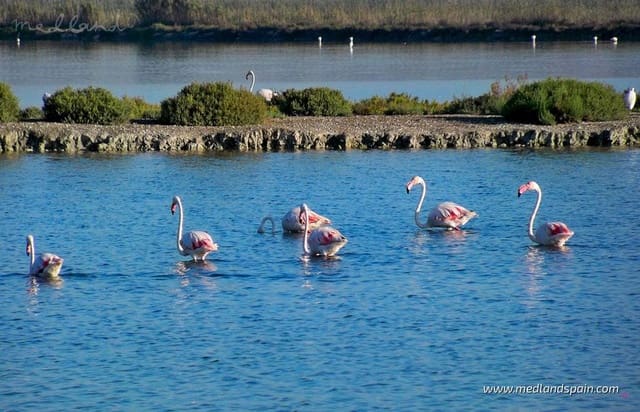 2 soveværelse Lejlighed til salg i Centro, Santa Pola med swimmingpool garage - € 313.000 (Ref: 8365871)