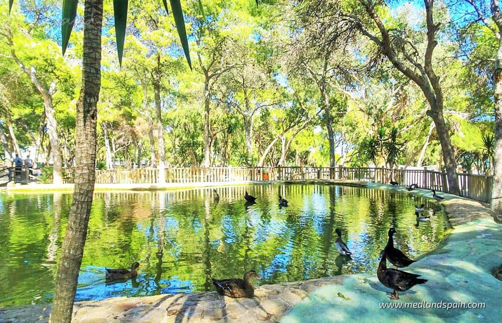 2 bedroom Apartment for sale in Guardamar del Segura with pool garage - € 279,000 (Ref: 8582526)