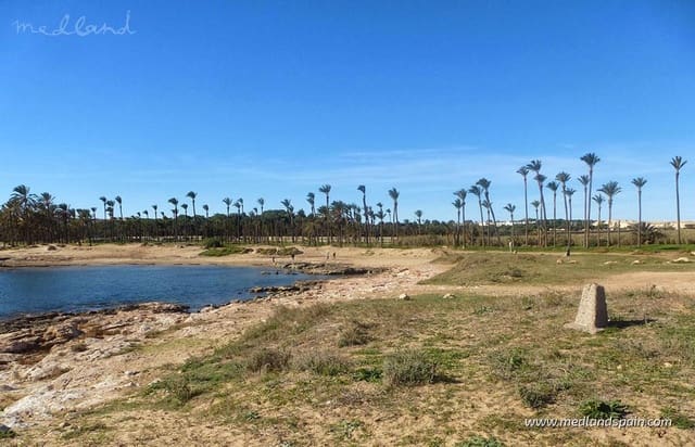 2 sypialnia Dom na sprzedaż w Villamartin, Orihuela z basenem - 296 000 € (Ref: 8755596)