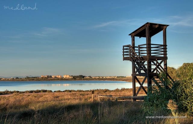 3 soverom Villa til salgs i El Chaparral - La Siesta - La Torreta, Torrevieja med svømmebasseng garasje - € 595 000 (Ref: 8792299)