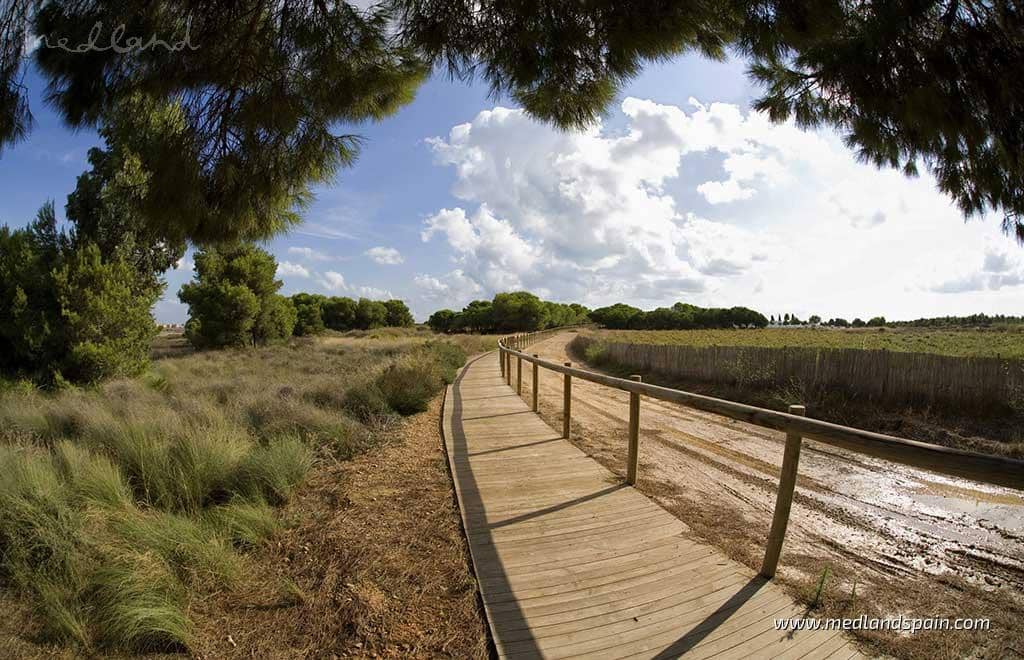 2 slaapkamer Appartement te koop in La Mata met zwembad garage - € 620.000 (Ref: 8812886)