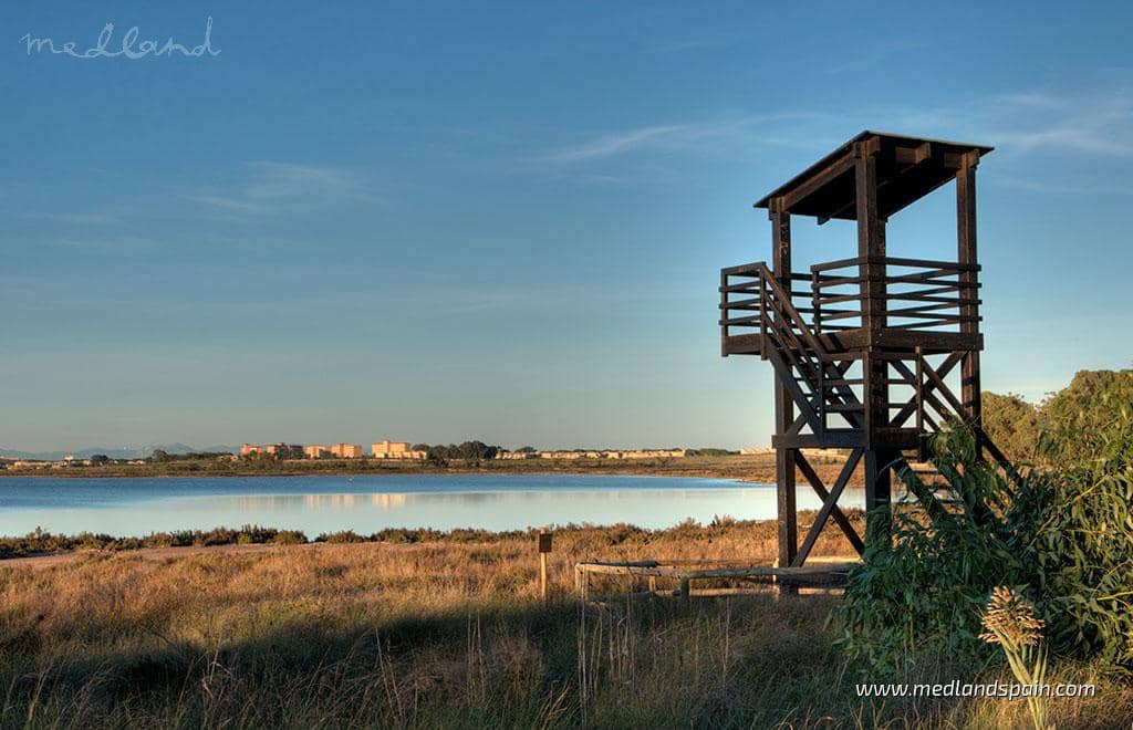 2 soveværelse Lejlighed til salg i La Mata med swimmingpool garage - € 550.000 (Ref: 8812894)