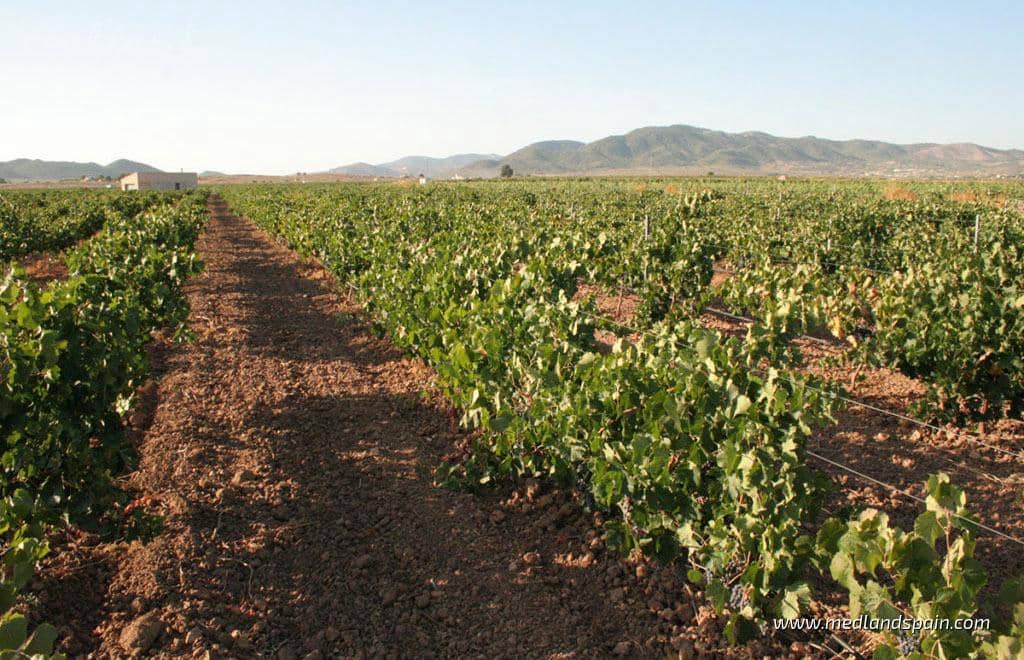 3 soveværelse Lejlighed til salg i Hondon de las Nieves med swimmingpool garage - € 305.000 (Ref: 8893314)