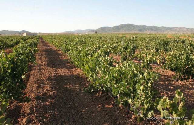 2 soverom Leilighet til salgs i Hondón de las Nieves med svømmebasseng garasje - € 240 000 (Ref: 8893318)