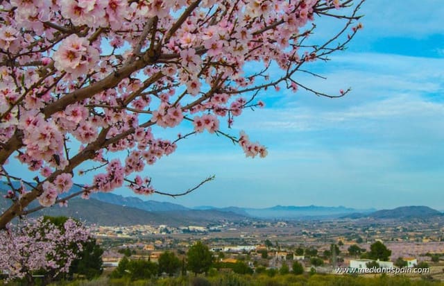 2 soverom Leilighet til salgs i Hondón de las Nieves med svømmebasseng garasje - € 240 000 (Ref: 8893318)