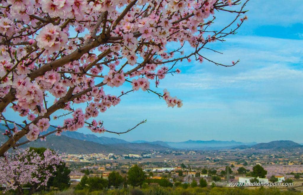 2 soverom Leilighet til salgs i Hondon de las Nieves med svømmebasseng garasje - € 205 000 (Ref: 8893321)