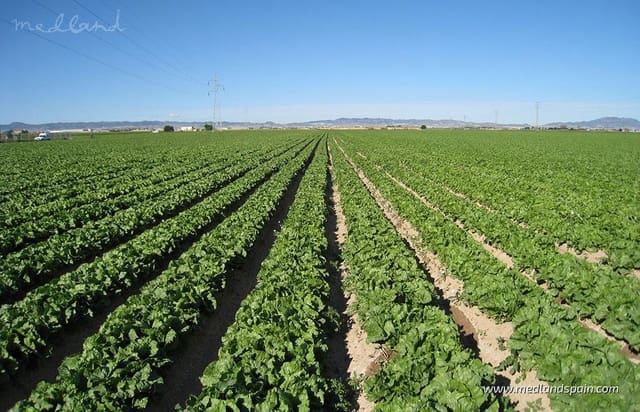 3 soveværelse Villa til salg i Alhama de Murcia med swimmingpool garage - € 335.000 (Ref: 8915681)