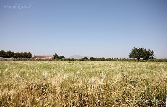 3 soverom Villa til salgs i Benijófar med svømmebasseng garasje - € 488 000 (Ref: 9188603)