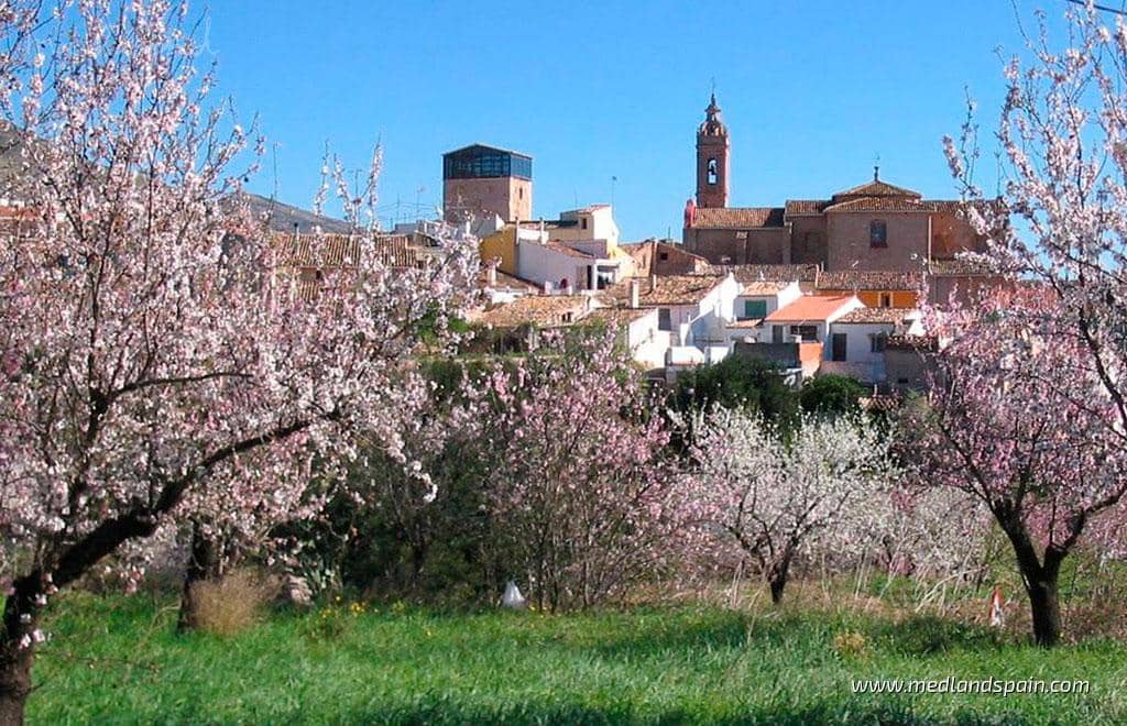 3 slaapkamer Villa te koop in La Marina met zwembad garage - € 755.000 (Ref: 9395842)