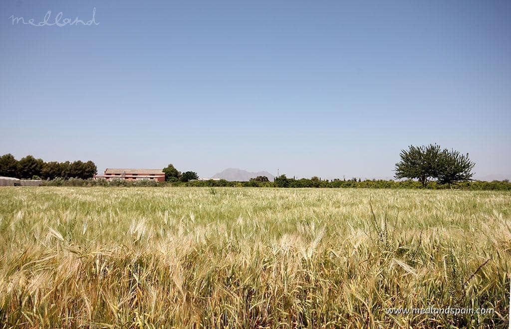 2 quarto Apartamento para venda em Benijofar com piscina - 294 000 € (Ref: 9465411)