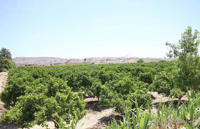 2 sypialnia Apartament na sprzedaż w Benijófar z basenem garażem - 285 000 € (Ref: 9527604)