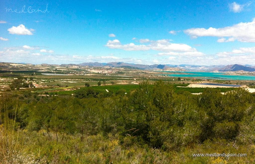 3 camera da letto Casa in vendita in Bigastro con piscina garage - 250.000 € (Rif: 9629876)