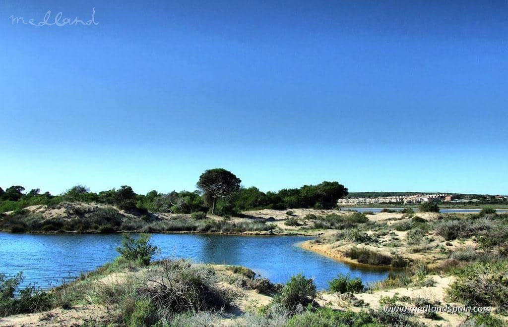 3 bedroom Villa for sale in San Fulgencio with pool garage - € 415,000 (Ref: 9666181)