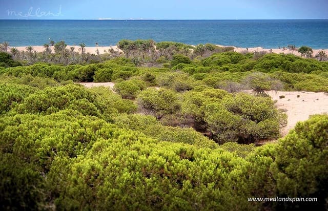 2 quarto Apartamento para venda em Guardamar del Segura com piscina garagem - 295 000 € (Ref: 9794357)