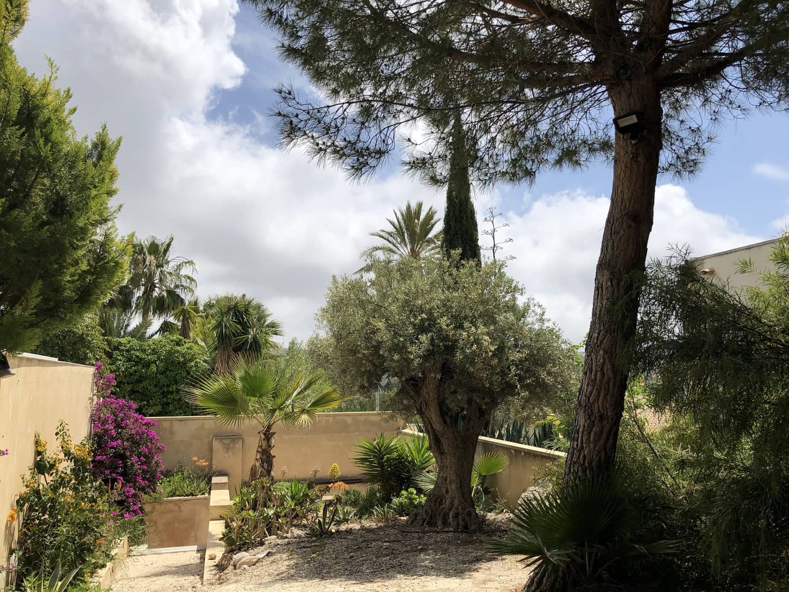 5 soveværelse Lejlighed til leje i Busot - € 3.000 (Ref: 7993403)